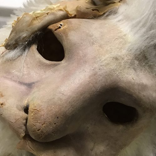 Maske Kostümfundus