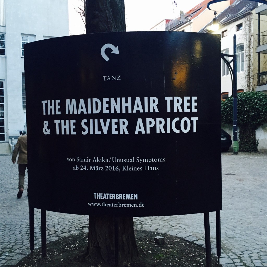The Maidenhair Tree & The Silver Apricot