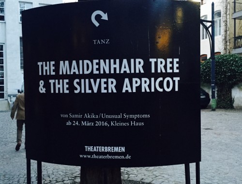 The Maidenhair Tree & The Silver Apricot