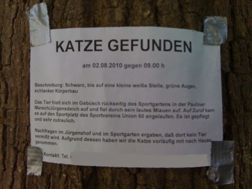 katzegefunden in bremen