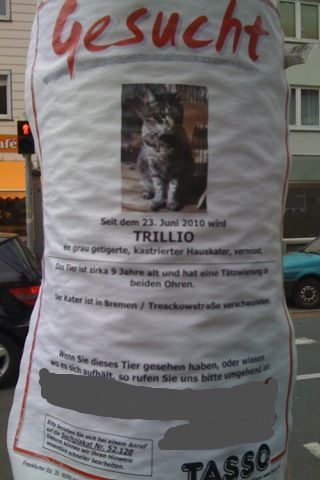 trillio weg